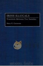 IRISH ILLEGALS  TRANSIENTS BETWEEN TWO SOCIETIES（1993 PDF版）