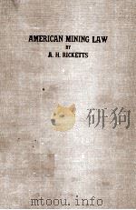AMERICAN MINING LAW  WITH FORMS AND PRECEDENTS   1943  PDF电子版封面    A.H.RICKETTS 