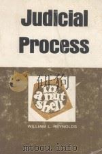 JUDICIAL PROCESS  IN A NUTSHELL   1980  PDF电子版封面  0829920897  WILLIAM L.REYNOLDS 