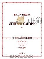 Seufzer-Galopp op.9 for Brass quintet bearbeitet von peter totzauer Partitur und Stimmen score & par   1998  PDF电子版封面    Johann Strauss Vater 