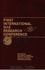 FIRST INTERANTIONAL GAS RESEARCH CONFERENCE（1980 PDF版）