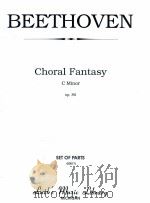 Choral Fantasy C minor Op.80 set of parts 00017     PDF电子版封面    Ludwig van Beethoven 