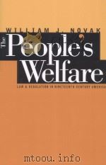 THE PEOPLE'S WELFARE  LAW AND REGULATION IN NINETEENTH-CENTURY AMERICA   1996  PDF电子版封面  0807846112  WILLIAM J.NOVAK 
