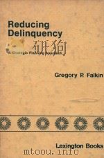 REDUCING DELINQUENCY  A STRATEGIC PLANNING APPROACH（1979 PDF版）