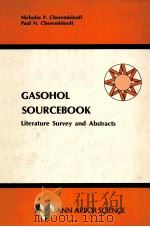 GASOHOL SOURCEBOOK LITERATURE SURVEY AND ABSTRACTS   1981  PDF电子版封面  0250404257   