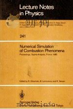 LECTURE NOTES IN PHYSICS 241 NUMERICAL SIMULATION OF COMBUSTION PHENOMENA（1985 PDF版）
