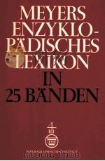 MEYERS ENZYKLOPADISCHES LEXIKON BAND 21: SCHE- SM   1977  PDF电子版封面     