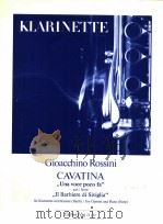 Cavatina   1987  PDF电子版封面     