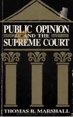 PUBLIC OPINION AND THE SUPREME COURT   1989  PDF电子版封面  0044970471   