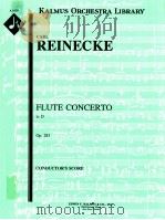 Flute Concerto in D Op. 283 A6128     PDF电子版封面    Reinecke 