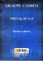 trio op.45 No.6 for flute oboe & bassoon MR 1921   1978  PDF电子版封面     