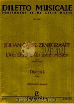 diletto musicale DM 1247 Drei Duette für zwei Fl?ten Op.1 Thierno Wind Duetto Ⅰ C-Dur Partitur und S   1996  PDF电子版封面     