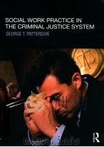 social work practice in the criminal justice system     PDF电子版封面     