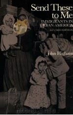 SEND THESE TO ME  IMMIGRANTS IN URBAN AMERICA  REVISED EDITION   1984  PDF电子版封面  0801824737  JOHN HIGHAM 