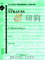 Furioso Polka Op.260 full score A 2090     PDF电子版封面     