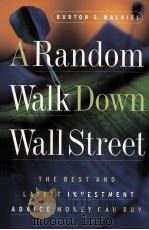 A RANDOM WALK DOWN WALL STREET   1996  PDF电子版封面  0393315290  BURTON G.MALKIEL 