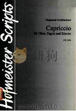 capriccio für oboe fagott und klavier FH 2296   1995  PDF电子版封面     