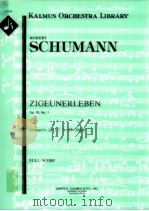 Zigeunerleben Op.29 No.3     PDF电子版封面     