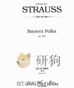 Bauern Polka Op.276 set of parts 08024     PDF电子版封面     