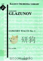 Concert Waltz No.1 Op.47 full score A 2368     PDF电子版封面     