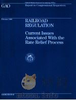 RAILROAD REGULATION  CURRENT ISSUES ASSOCIATED WITH THE RATE RELIEF PROCESS  FEBRUARY 1999   1999  PDF电子版封面     