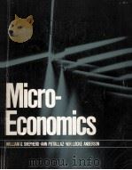 MICROECONOMICS   1983  PDF电子版封面    WILLIAM G.SHEPHERD 