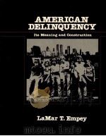 AMERICAN DELINQUENCY ITS MEANING NND CONSTRUCTION（1982 PDF版）