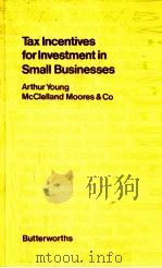 TAX INCENTIVES FOR INVESTMENT IN SMALL BUSINESSES   1983  PDF电子版封面  0406020108   