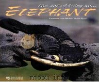 THE ART OF BEING ELEPHANTS     PDF电子版封面  8880959352   