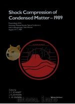 SHOCK COMPRESSION OF CONDENSED MATTER-1989   1990  PDF电子版封面  0444882715   