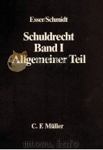 SCHULDRECHT BAND 1   1984  PDF电子版封面  3811430831   