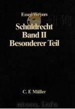 SCHULDRECHT BAND 2   1984  PDF电子版封面  3811416839   