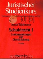 SCHULDRECHT 1（1988 PDF版）