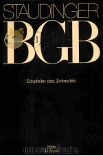 STAUDINGER BGB ECKPFEILER DES ZIVILRECHTS     PDF电子版封面  9783805911085   