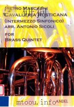 Cavalleria Rusticana(Intermezzo Sinfonico) for Brass Quintet   9  PDF电子版封面     