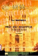 Missa Iesu Redemptor D 2007 6045 123-CC016     PDF电子版封面    Bikkembergs Kurt 