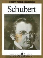 Franz Schubert Ausgewahlte Werke Piano ED 510   1919  PDF电子版封面  0001031516   