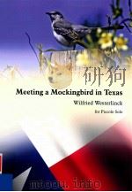 Meeting a Mockingbird in Texas for Piccolo Solo（ PDF版）