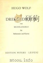 Michelangelo-Lieder Ba?stimme und Klavier     PDF电子版封面    Wolf Hugo 