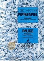 Orchester-probespiel Pauke Schlagzeug ed.7855   1993  PDF电子版封面  0001081436   