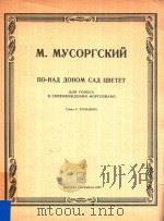 NO-HAI NOHYOM   1985  PDF电子版封面    M.MYCOPTCKHNN 