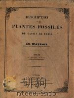 Description des plantes fossiles du Bassin de Paris Atlas（1866 PDF版）