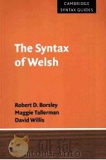 the syntax of welsh     PDF电子版封面     