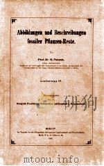 fossiler pflanzen-reste vol.4   1906  PDF电子版封面     
