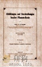fossiler pflanzen-reste vol.6   1909  PDF电子版封面     