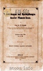 fossiler pflanzen-reste vol.8（1912 PDF版）