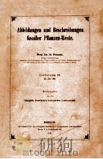 fossiler pflanzen-reste vol.9   1913  PDF电子版封面     