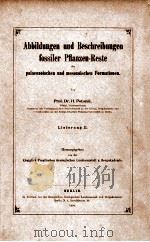 fossiler pflanzen-reste vol.2（1904 PDF版）