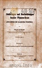 fossiler pflanzen-reste vol.1   1903  PDF电子版封面     