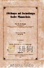 fossiler pflanzen-reste vol.7（1910 PDF版）